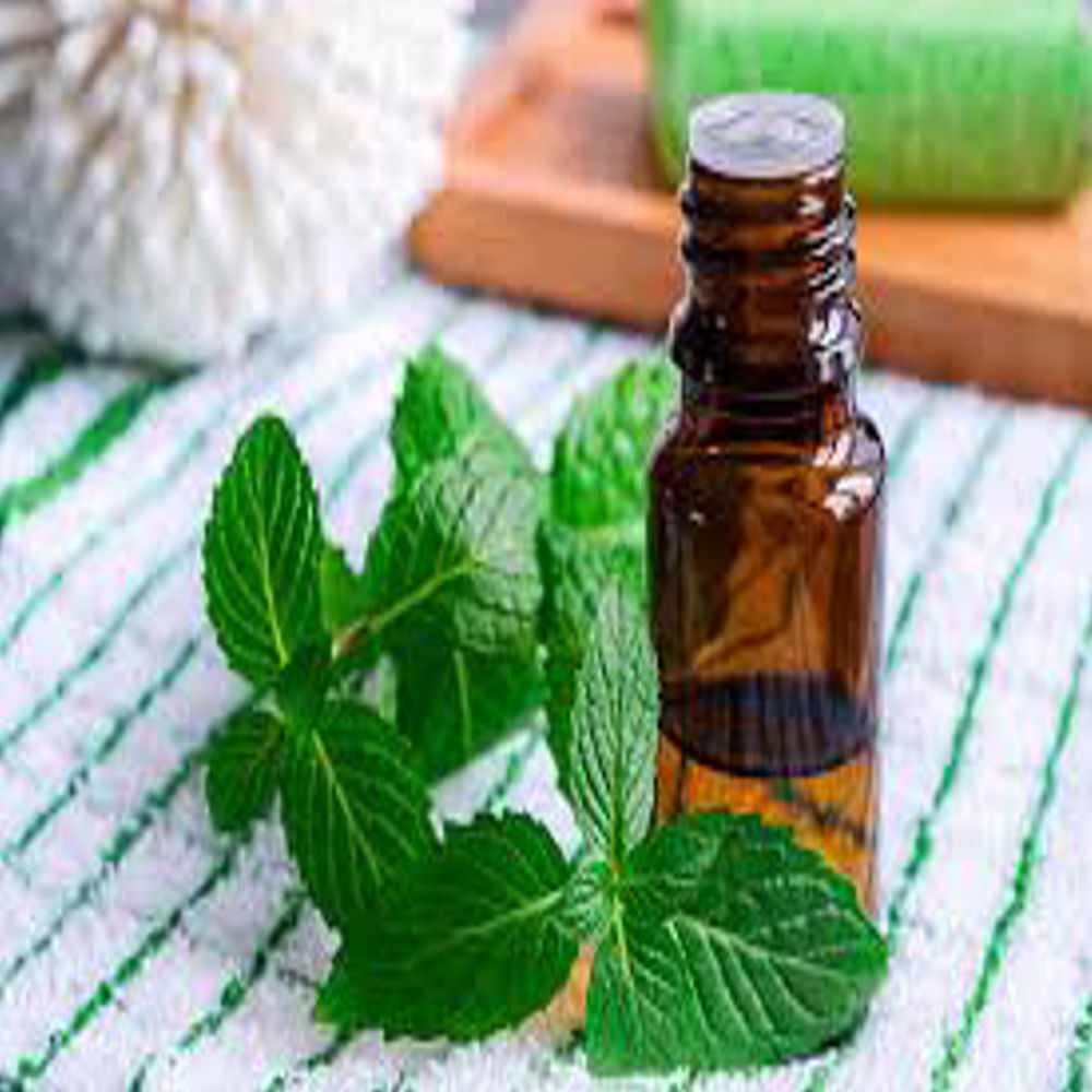 Spearmint Oil - Age Group: All Age Group