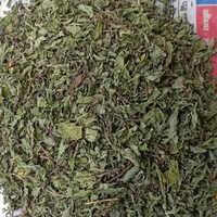 10 KG Dehydrated Mint Leaves