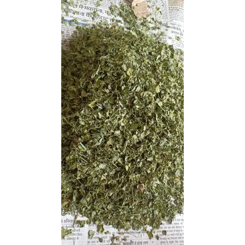 10 KG Dehydrated Mint Leaves