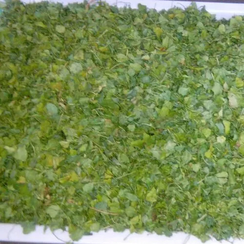 10 KG Green Coriander Leaves