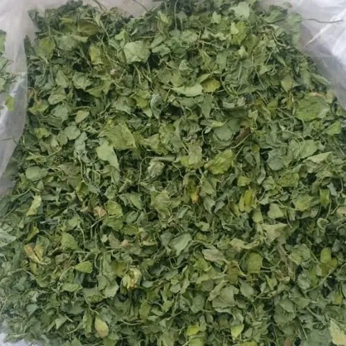 Above Average Fenugreek Leaves - Grade: Food Grade