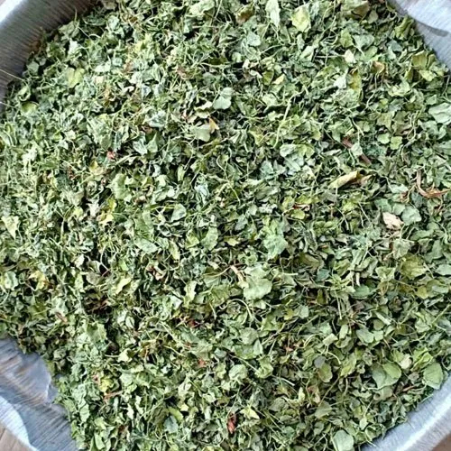 Dehydrated Fenugreek Leaves - Grade: Food Grade