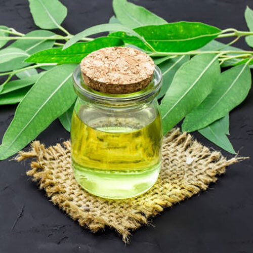 Eucalyptus Oil - 100% Pure Liquid | Suitable for All Age Groups, 24-Month Shelf Life, Store in a Dry Place for Optimal Freshness