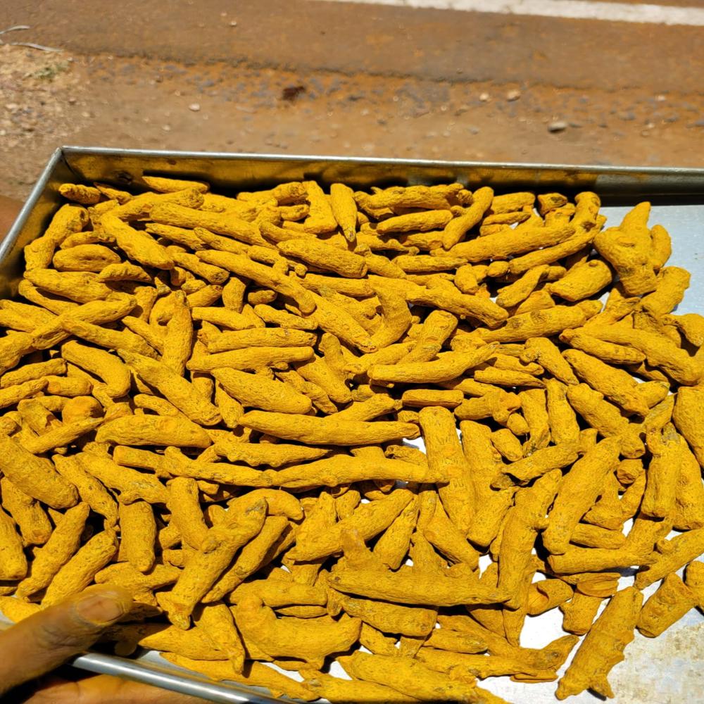 Turmeric Finger