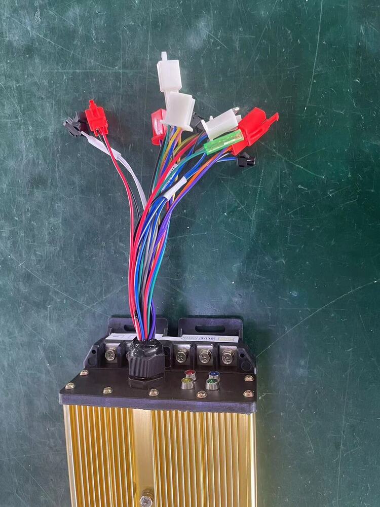 BLDC 1000W Rickshaw Motor Controller