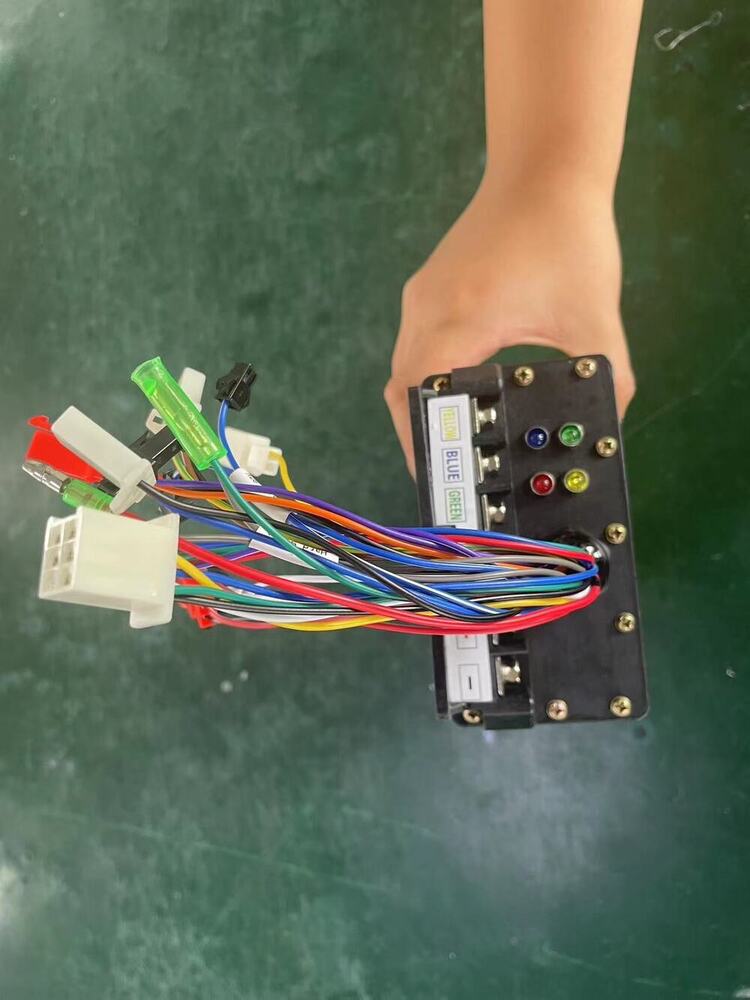 BLDC 1000W Rickshaw Motor Controller