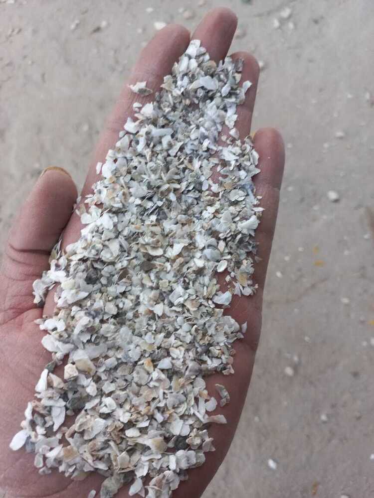 Clear Glass Chips With White Marble Mix Chips Texture Used In Terrazzo ...