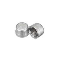 Forged End Cap - Color: Silver