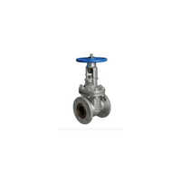 Industrial Gate Valve