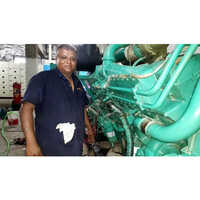 Mahindra Diesel Generator Repair Servicing