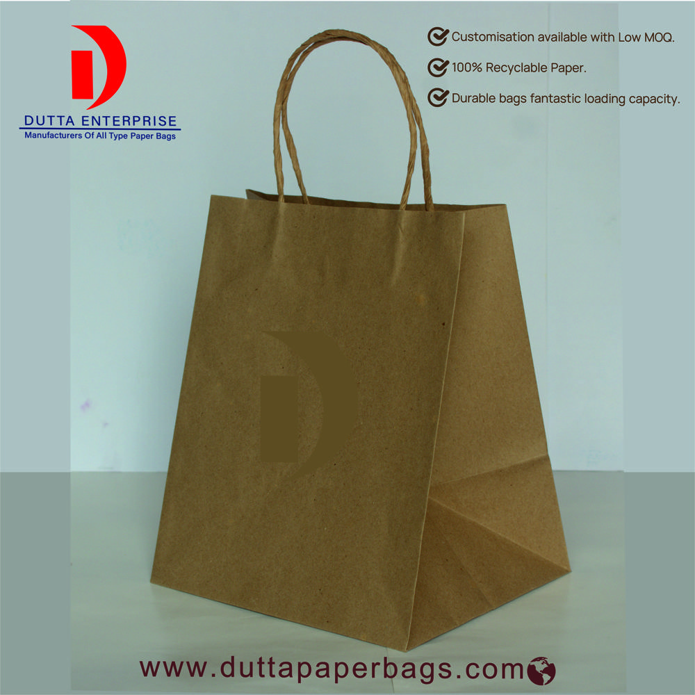 Disposable Paper Bag - Feature: Biodegradable