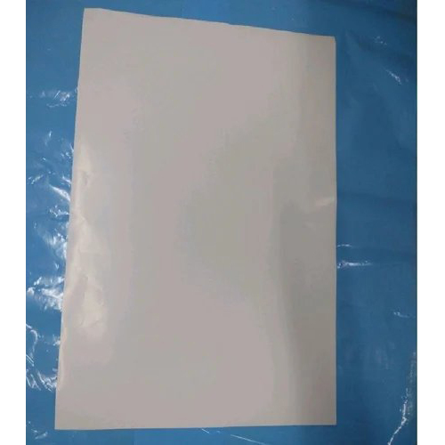 Chromo 18x23 Gum Sheet