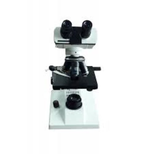 Binocular microscope