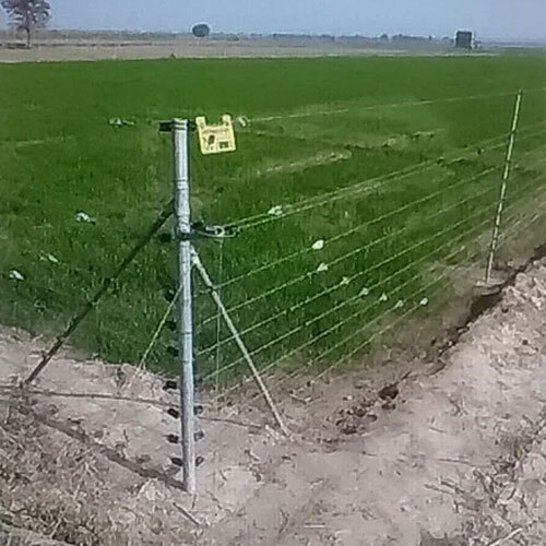 Solar Agriculture Fencing