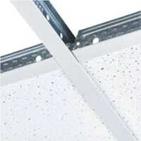T Grid Ceiling