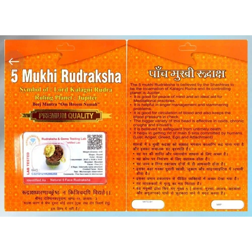 5 Mukhi Nepal Rudraksha Bead - Color: Brown