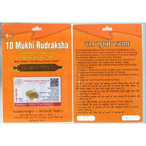 10 Mukhi Indonesian Rudraksha - Color: Brown