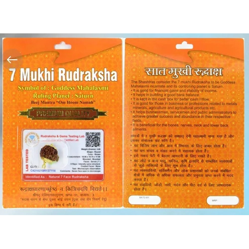 7 Mukhi Nepal Rudraksha Bead