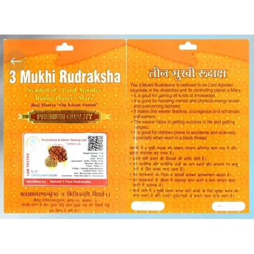 Three Mukhi Rudraksha Beads - Color: Brown