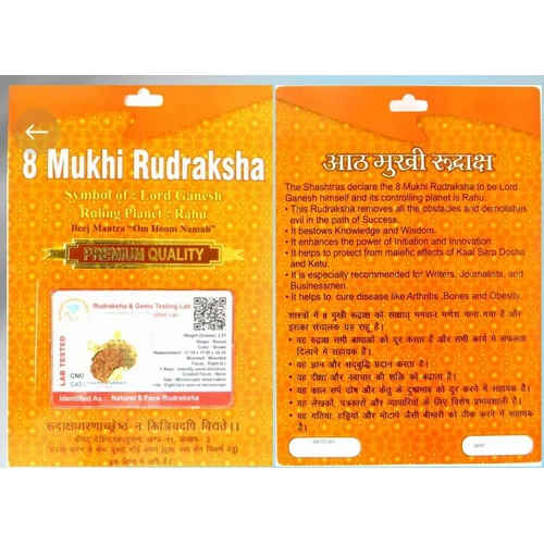 8 Mukhi Indonesian Rudraksha - Color: Brown