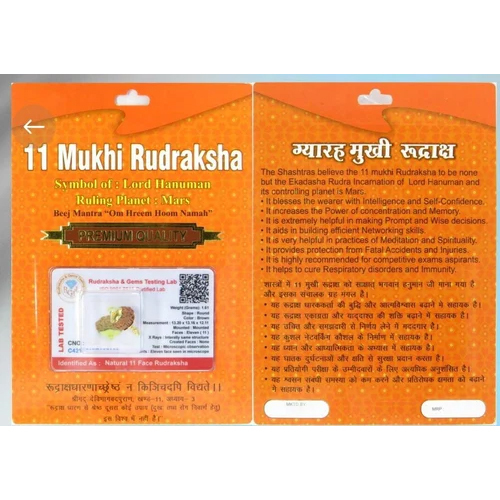 11 Mukhi Indonesian Rudraksha - Color: Brown