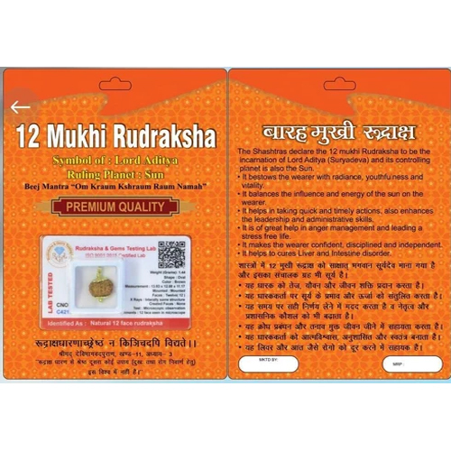 12 Mukhi Indonesian Rudraksha - Color: Brown
