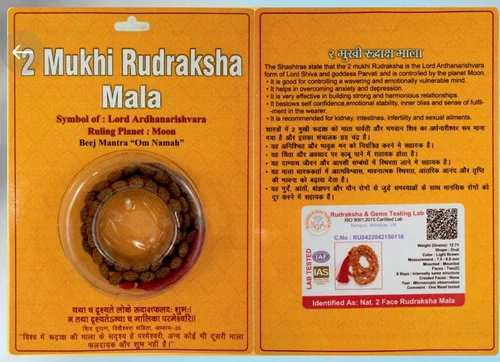 2 Mukhi Indonesian Mala - Color: Brown