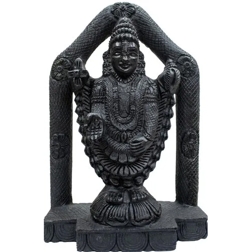 Shaligram Murti For All God Or Goddess - Color: Black