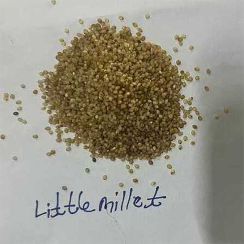 Organic Little Millets