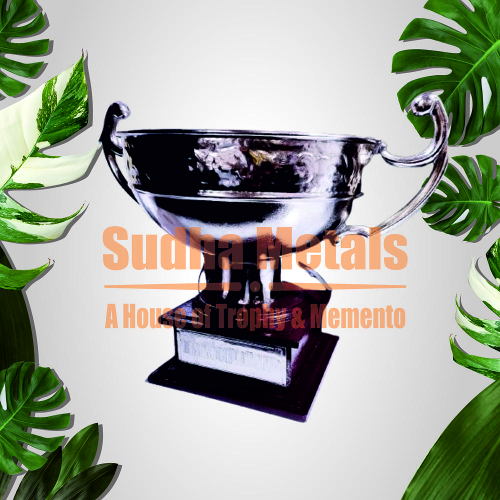 Silver Trophy Cup - Base Material: Metal