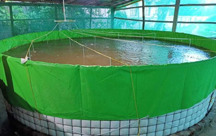 Fish Tank Tarpoulin - Dimension (L*w*h): 3*3*3 Meter (M)