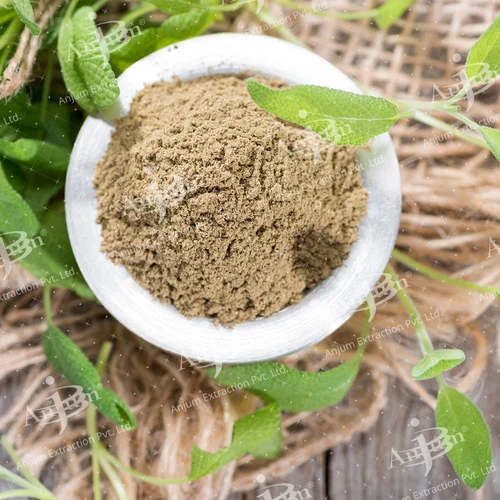 Ocimum Sanctum (Tulsi) Extract - Application: Medicine