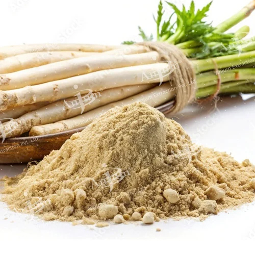 Asparagus Racemosus (Safed Shatavari) Extract - Application: Medicine