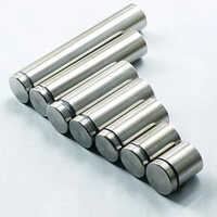 Stainless Steel Glass Railing Stud - Design: Modern