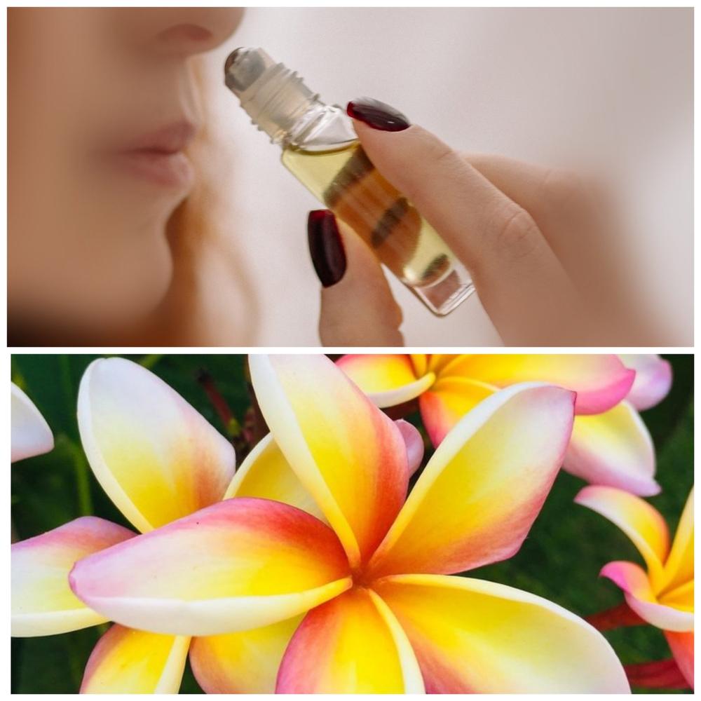 Frangipani oil