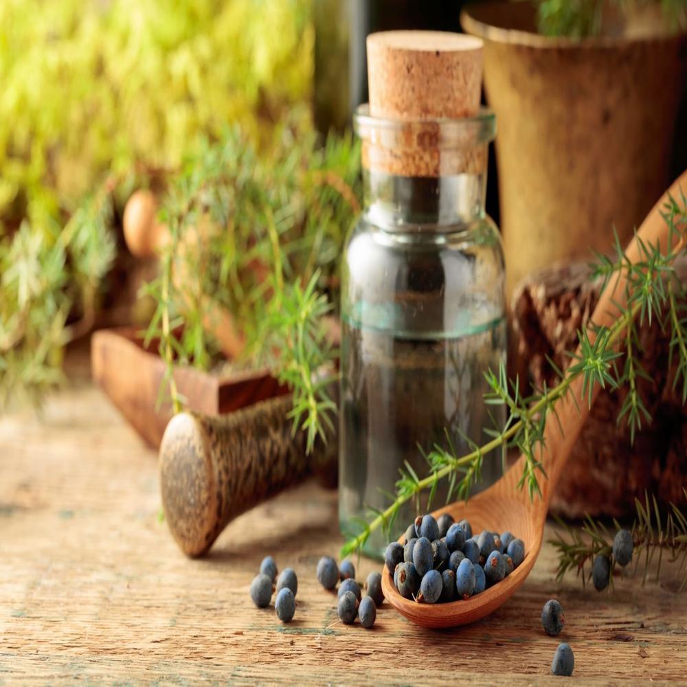 Juniperberry Oil - Cas No: 8012-91-7