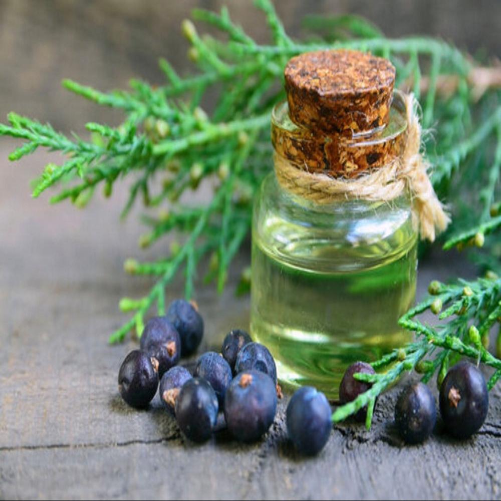 Juniperberry Oil - Cas No: 8012-91-7