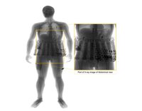 Elevating Security Measures