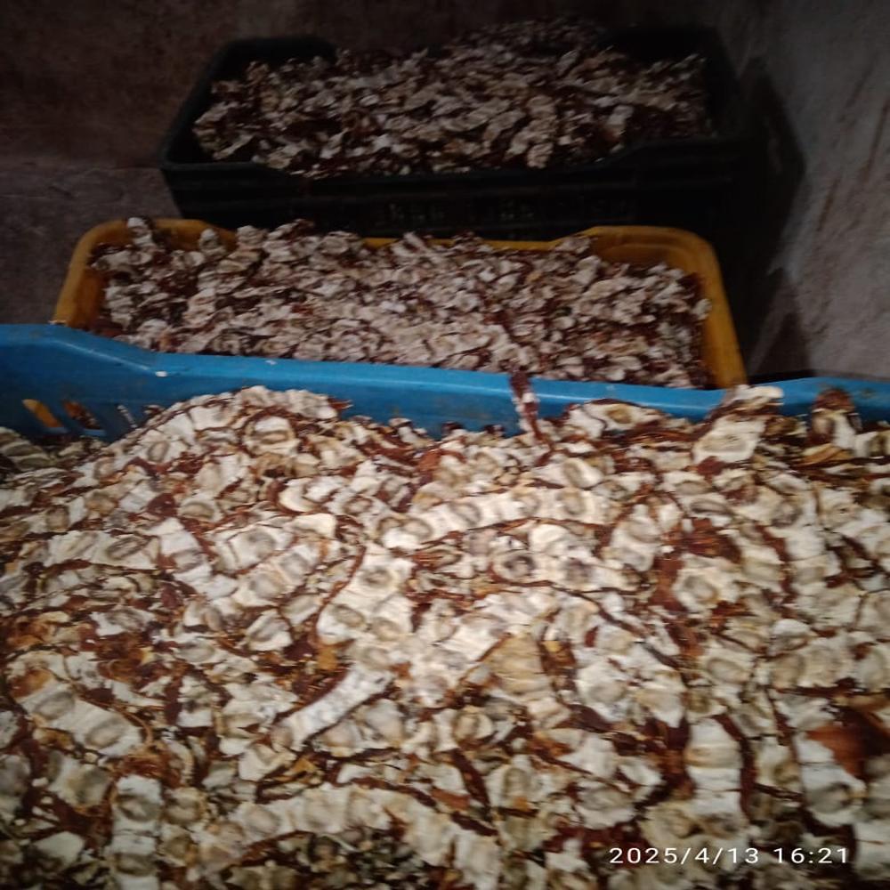 Dry Tamarind - Color: Black