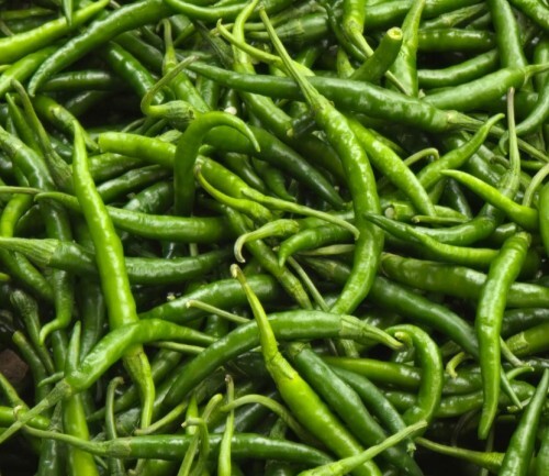 Green Chilli - Preserving Compound: No