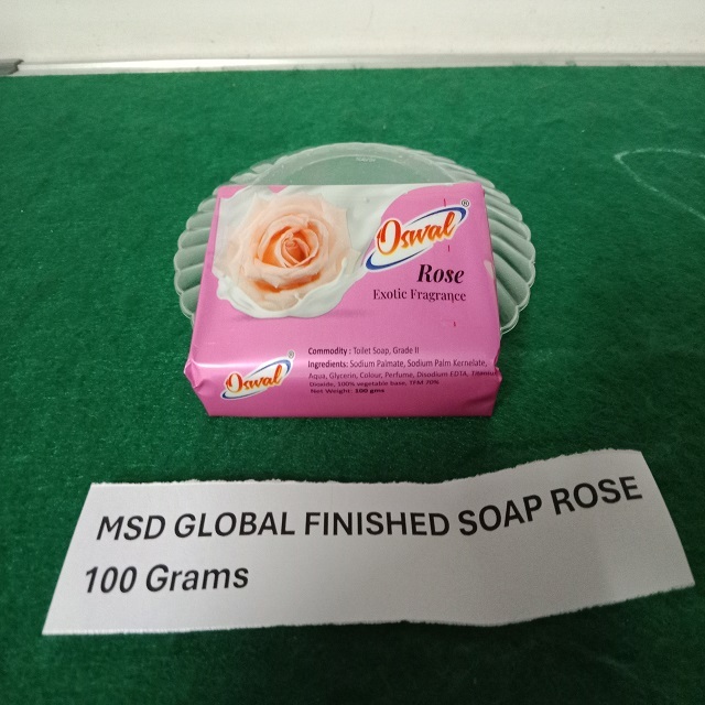 Toilet soap sandal