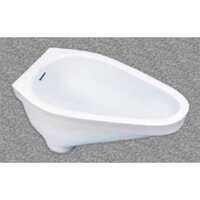 Rural Pan Indian Toilet Seats