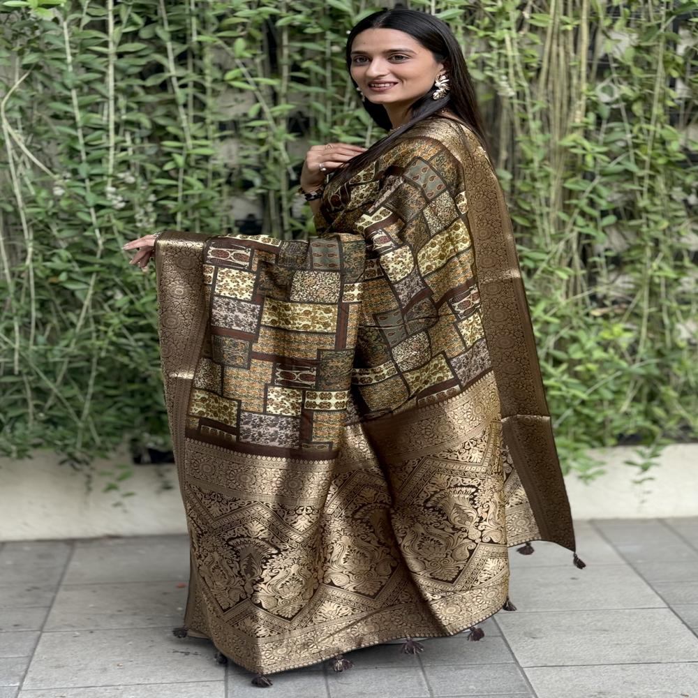 Banarasi Saree - Color: Brown