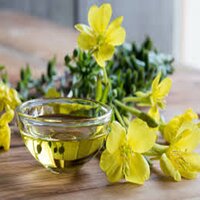 Evening Primrose Oil