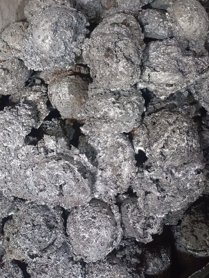 Zinc dhima