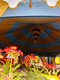 Pavilion Tent