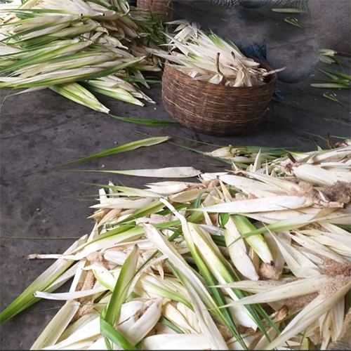 Kewda (Kewra) Attar - Ingredients: Kewra