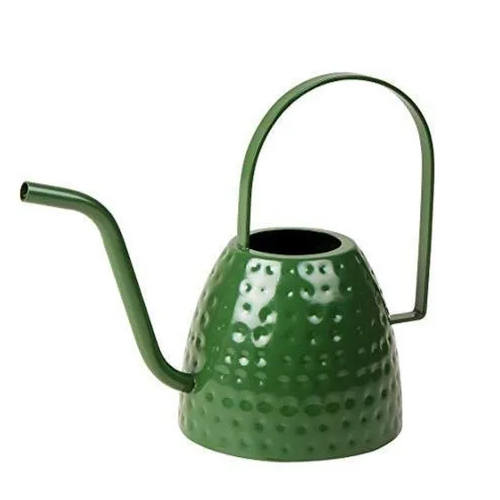 1 Liter Green SS Watering Can