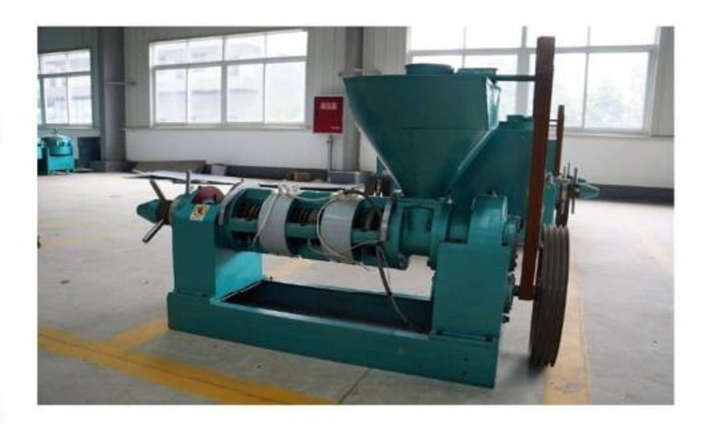 Commercial oil Extraction Machine