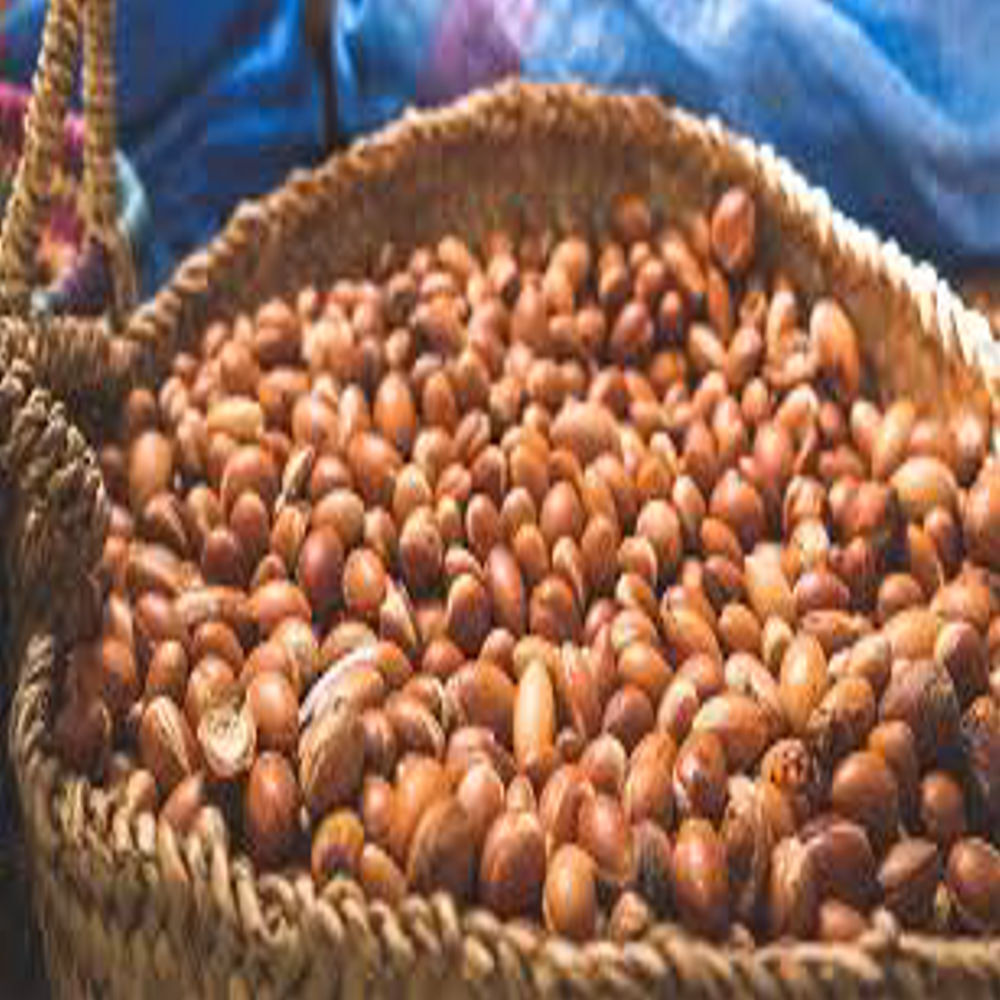 Argan Oil - Purity: 100% Pure